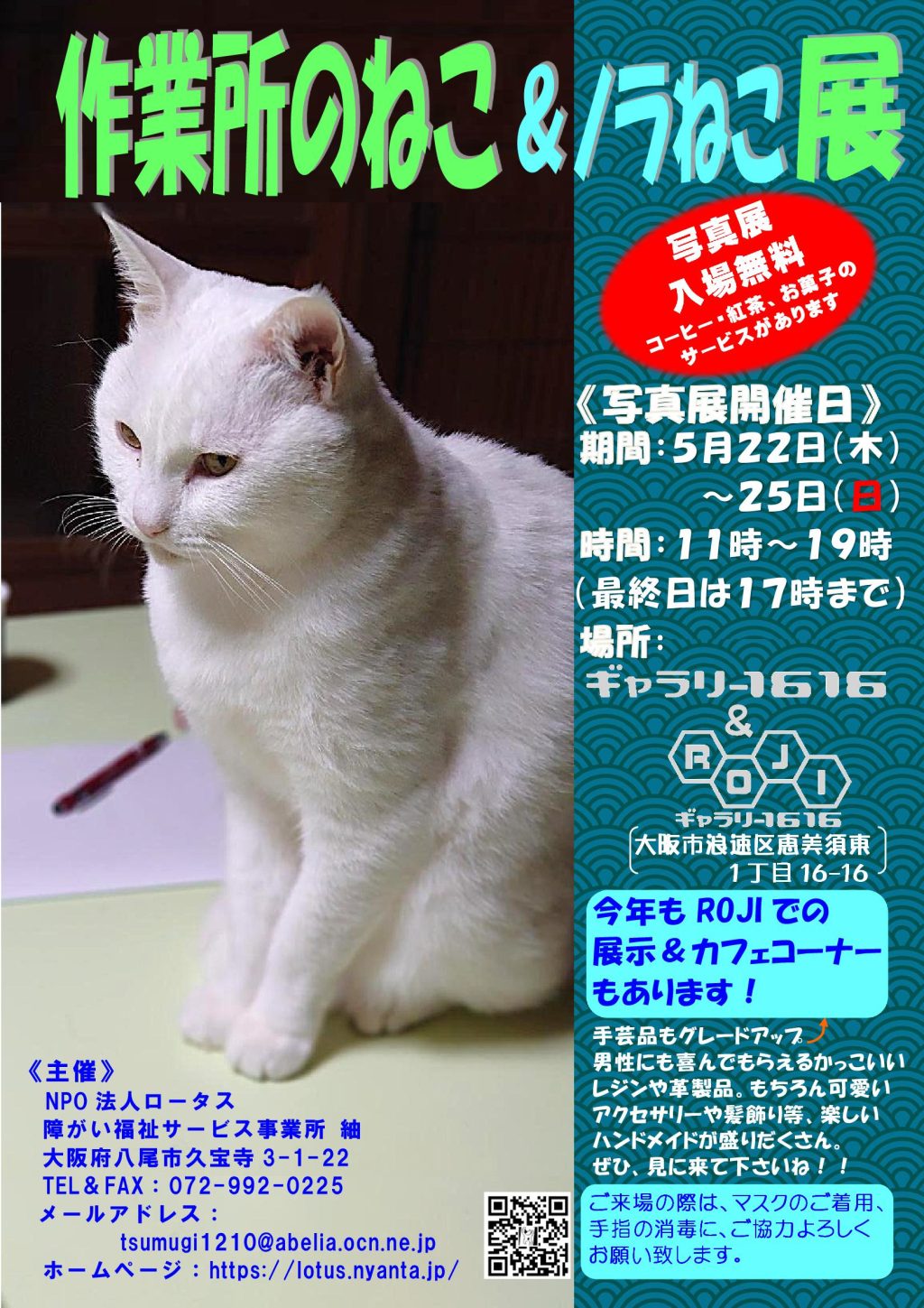 作業所のねこ＆ノラねこ展